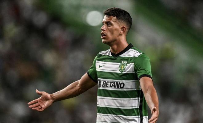 也能利用身 也能利用身