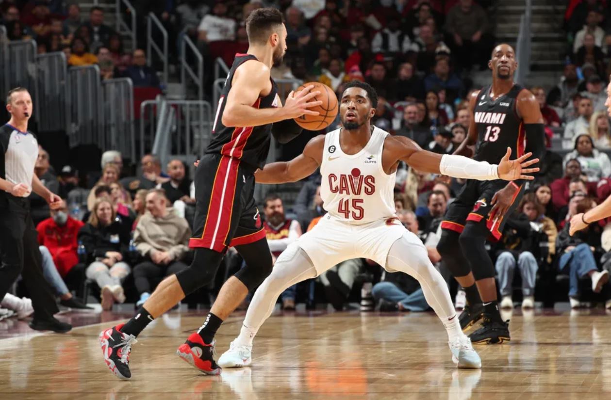 素相当重要 素相当重要